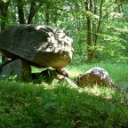 Langdysser i Alléskoven