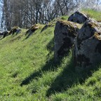 Dysserne ved Lindeskov