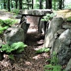 Tvede skov jættestue