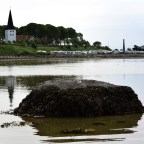 Sælstenen: Bogenses mystiske barnesten