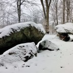 Dysserne i Gudbjerglund